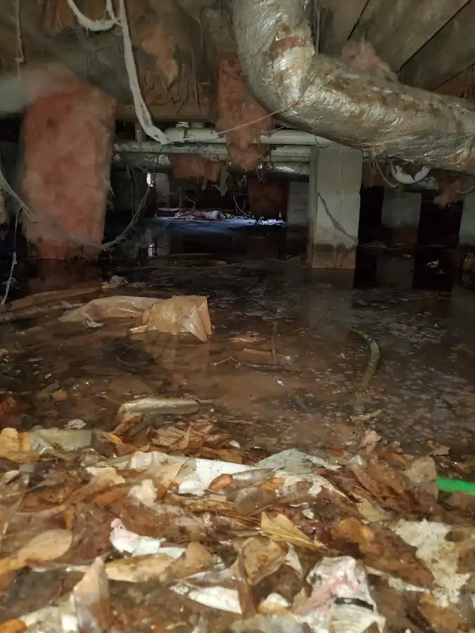 Crawl space flood assessment for Leak Detection & Repair in Waynesville