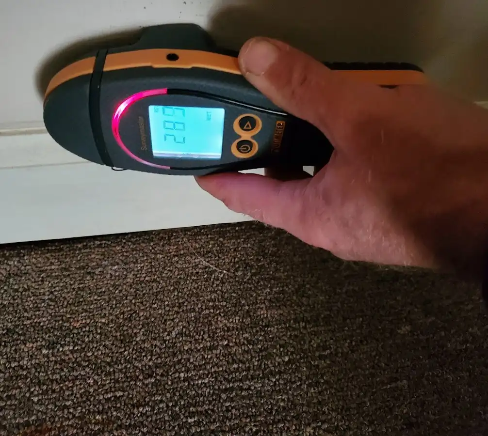 Moisture detection at baseboard during Mold Inspection & Testing in Waynesville